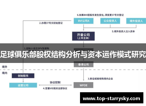 足球俱乐部股权结构分析与资本运作模式研究